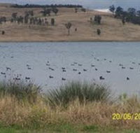 Lake Liddell Recreation Area - Tweed Heads Accommodation