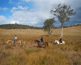 Chapman Valley Horse Riding - Tweed Heads Accommodation 0