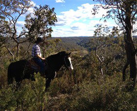 Chapman Valley Horse Riding - Tweed Heads Accommodation 2