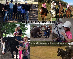 Chapman Valley Horse Riding - Tweed Heads Accommodation 5