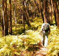 Federal Pass - Tweed Heads Accommodation