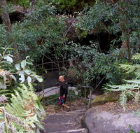 Leura Cascades Fern Bower - Tweed Heads Accommodation