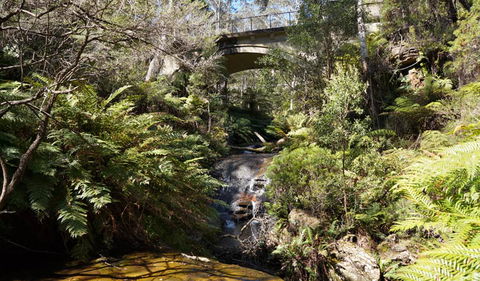 Leura Cascades Fern Bower - Tweed Heads Accommodation 3