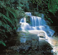 Leura Cascades - Tweed Heads Accommodation