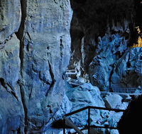 Wombeyan Karst Conservation Reserve - Tweed Heads Accommodation