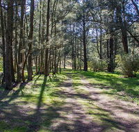 Wombeyan Waterfall walking track - Tweed Heads Accommodation