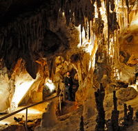 Wollondilly Cave - Tweed Heads Accommodation