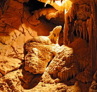 Fig Tree Cave - Tweed Heads Accommodation