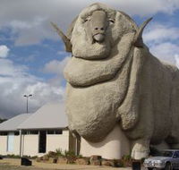 Big Merino - Tweed Heads Accommodation