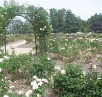 Victoria Park Rose Garden - Tweed Heads Accommodation