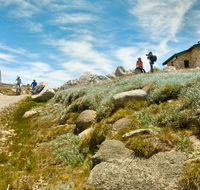 Mount Kosciuszko Summit walk - Tweed Heads Accommodation
