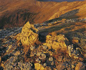 Kosciuszko National Park - Charlottes Pass To Snowy River - Tweed Heads Accommodation 1