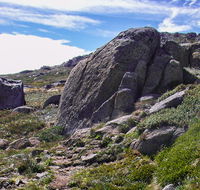Mount Stillwell walk - Tweed Heads Accommodation