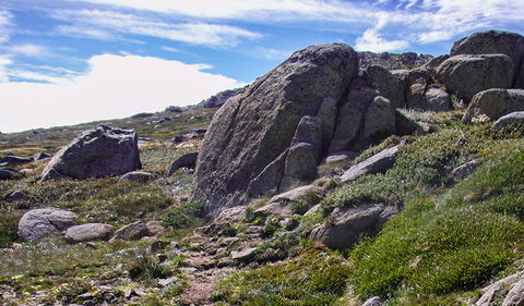 Mount Stillwell Walk - Tweed Heads Accommodation 0