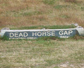 Dead Horse Gap - Tweed Heads Accommodation 0