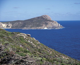 Bald Head Walking Track - Tweed Heads Accommodation 0