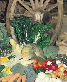 Mulgowie Real Farmers Markets - Tweed Heads Accommodation 0