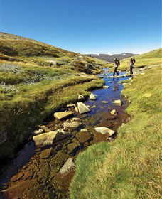 Australian Alps Walking Track - Tweed Heads Accommodation 0