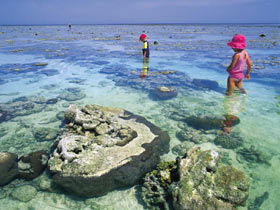 Southern Great Barrier Reef - Tweed Heads Accommodation 1