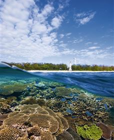 Southern Great Barrier Reef - Tweed Heads Accommodation 2