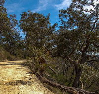 Parr State Conservation Area - Tweed Heads Accommodation