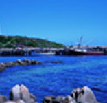King Island Dairies - Tweed Heads Accommodation