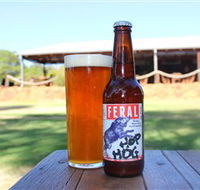 Feral Brewing Company - Tweed Heads Accommodation