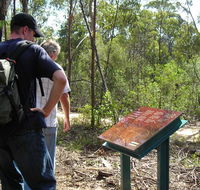 Finchley cultural walk - Tweed Heads Accommodation