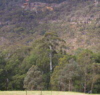 Bangadilly National Park - Tweed Heads Accommodation