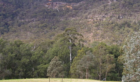 Bangadilly National Park - Tweed Heads Accommodation 0