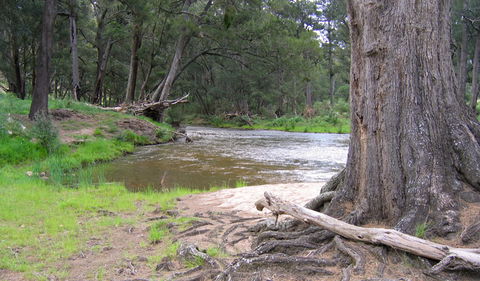 Bangadilly National Park - Tweed Heads Accommodation 3
