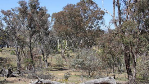Remembrance Nature Park - Tweed Heads Accommodation 2