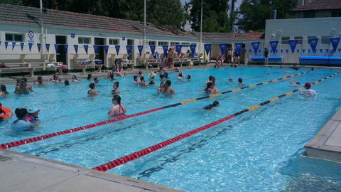Manuka Pool - Tweed Heads Accommodation 3