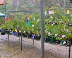 Glenbrook Native Plant Reserve And Nursery - Tweed Heads Accommodation 3