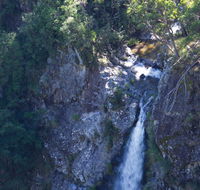 Lyrebird Falls walking track - Tweed Heads Accommodation