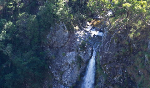 Lyrebird Falls Walking Track - Tweed Heads Accommodation 0