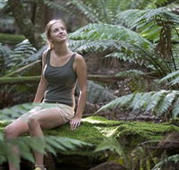 Barrington Tops National Park - Honeysuckle Forest Track - Tweed Heads Accommodation
