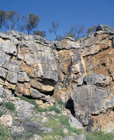 Badgingarra Nature Trail - Tweed Heads Accommodation 0
