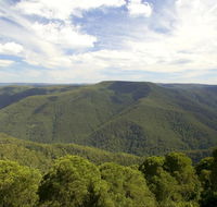 Barrington Tops National Park - Tweed Heads Accommodation