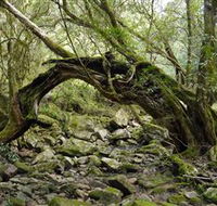 Mitchell River National Park - Tweed Heads Accommodation