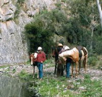 Yarramba Horse Riding - Tweed Heads Accommodation
