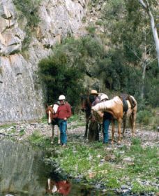 Yarramba Horse Riding - Tweed Heads Accommodation 0