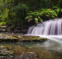 Rocky Crossing walk - Tweed Heads Accommodation