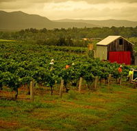 Around Hermitage Wine and Food Trail Hunter Valley - Tweed Heads Accommodation