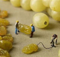 Hunter Valley Wine School - Tweed Heads Accommodation