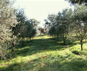 Langdale Farm - Tweed Heads Accommodation