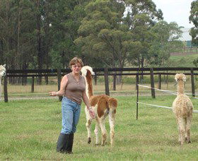Langdale Farm - Tweed Heads Accommodation 4