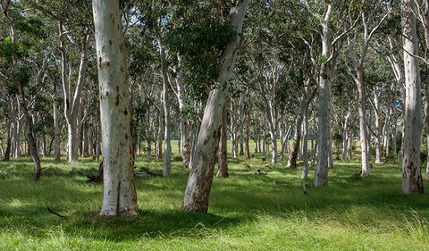 Coast To The Highlands Scenic Drive â€“ Kangaroo Valley - Tweed Heads Accommodation 1