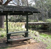 Barrington Tops State Forest - Tweed Heads Accommodation