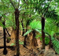 Pegarah Private Nature Reserve  Parenna Place - Tweed Heads Accommodation